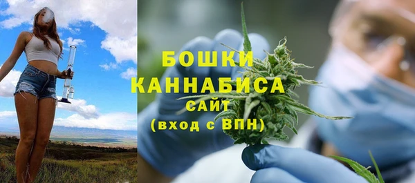 дмт Богородск