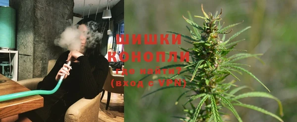 дмт Богородск