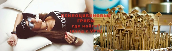 дмт Богородск