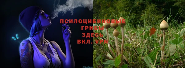 кристаллы Богданович